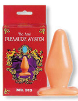 The anal pleasure system mr. Big
