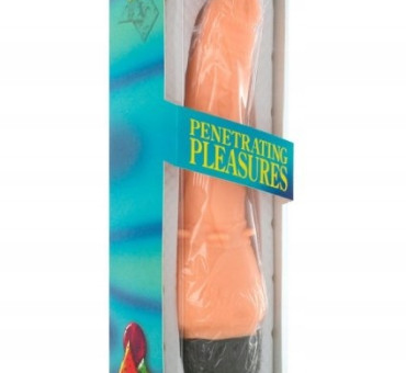 Vinyl P-Shape Vibrator