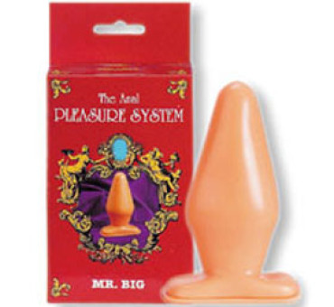 The anal pleasure system mr. Big