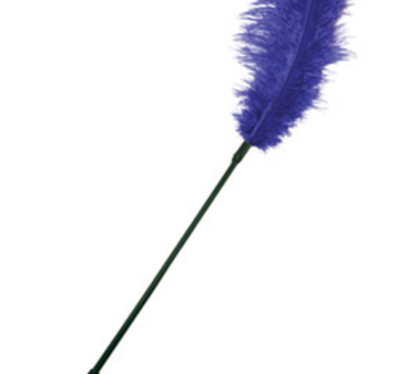 Go large feather tickler purple