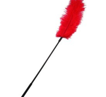 Go large feather tickler red