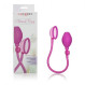 Calexotics Clitoral pump