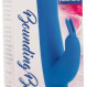 Calexotics Bounding Bunny