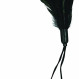 Sportsheets pleasure feather black